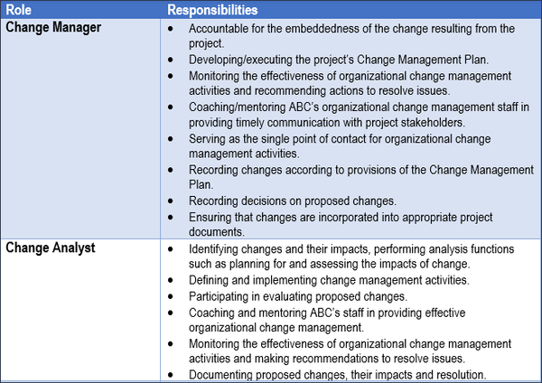 The Change Management Plan