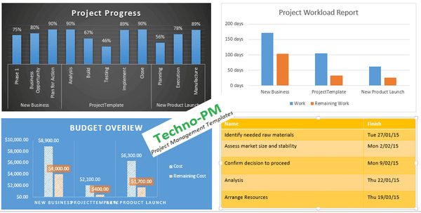 MS Project 2013 Reports, microsoft project 2013