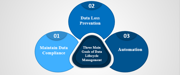 goals of data life cycle management, dlm