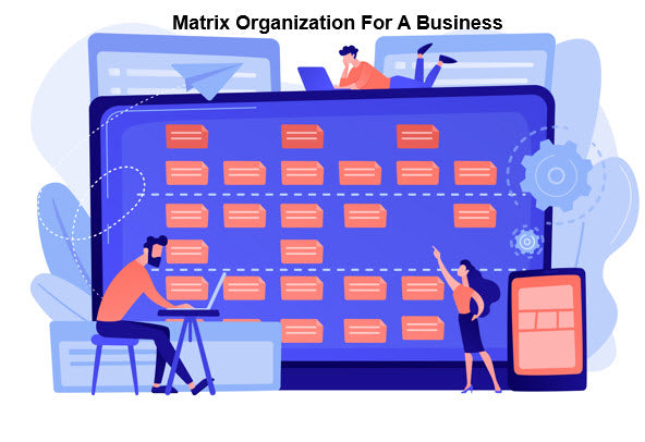 Matrix Organization For A Business, Matrix Organization