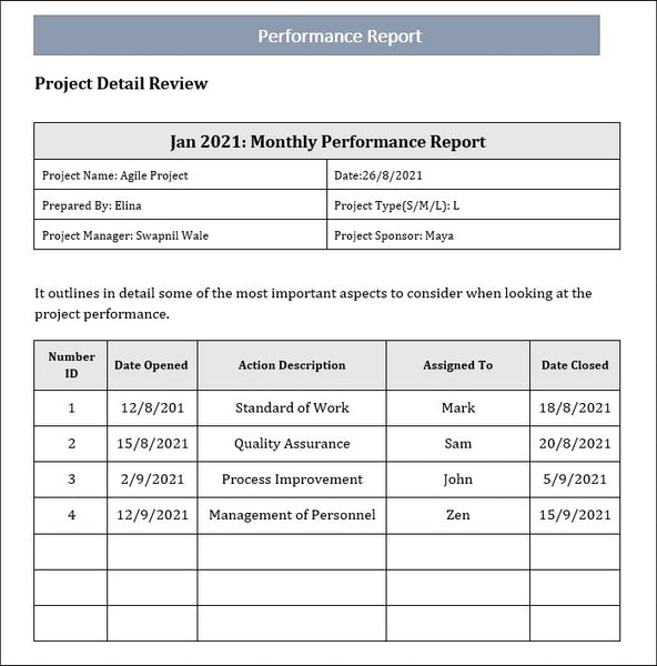 Performance Reporting Template