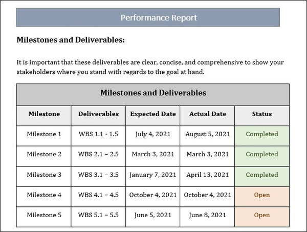 Performance Report Template