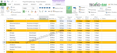 MS Project Plan