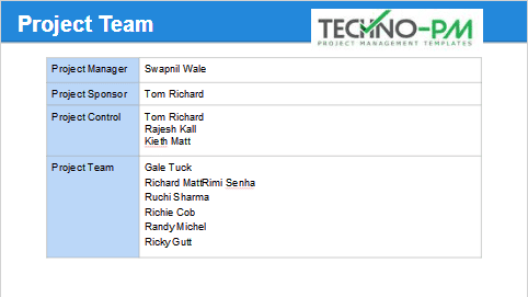 Project Team Structure