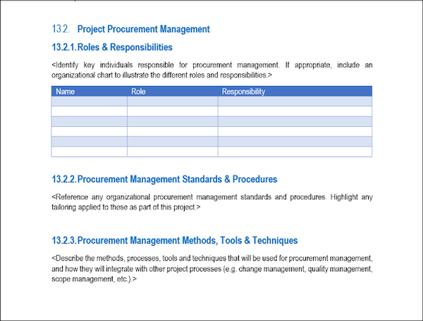 Project Procurement Management, Project Procurement Management Template