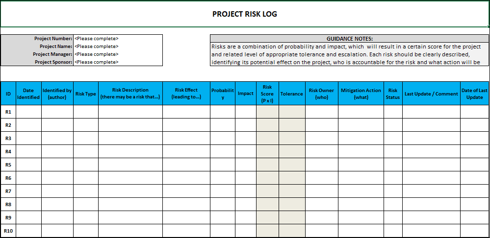 Risk Log