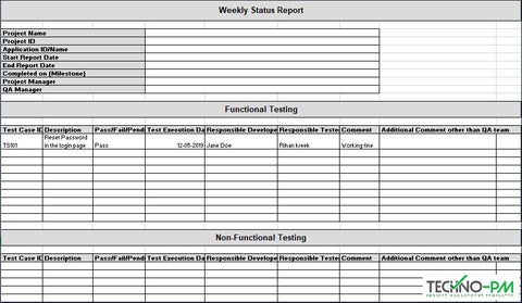 Test Report Showing Project Information,Section of the Template showing Project Information