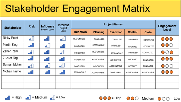 Stakeholder Engagement Matrix, stakeholder matrix