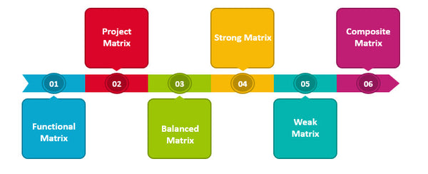 Types of matrix management, Matrix Management