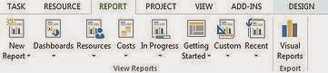 MS Project Report Options, ms project tutorial
