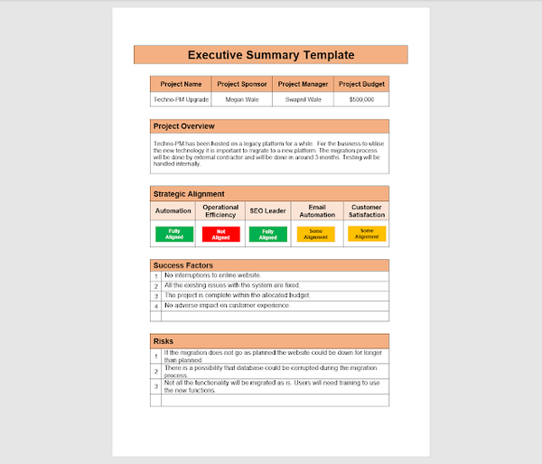 executive summary template word,how to write an executive summary