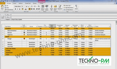 MS Project Plan