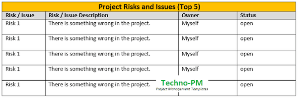 project risks and issues,how to write effective project status, one page report