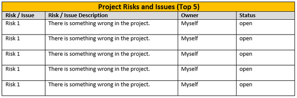 project risk sand issues,Project Status Report Template