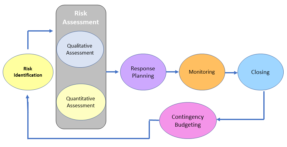 Risk Management Process Steps