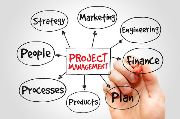 Project Management Techniques, Approach and Methodologies