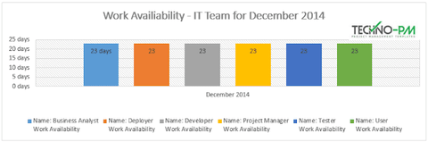 Resource Allocation Report