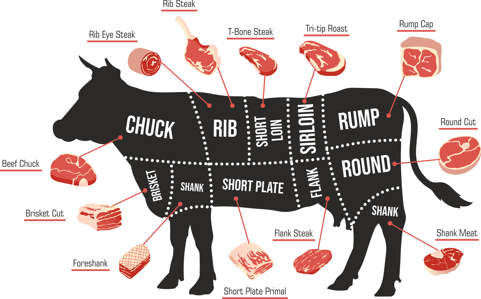 The [Definitive] Guide to Beef Cuts All You Need to Know Virginia