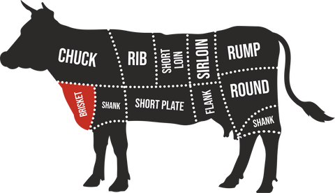illustration of cow with body parts divided up in lines, this image has the brisket colored in red