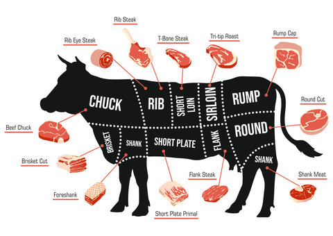 grid showing what cuts of meat come from which part of the cow