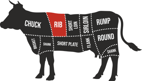 graphic illustration of a cow with body parts divided up, the ribs section highlighted in red