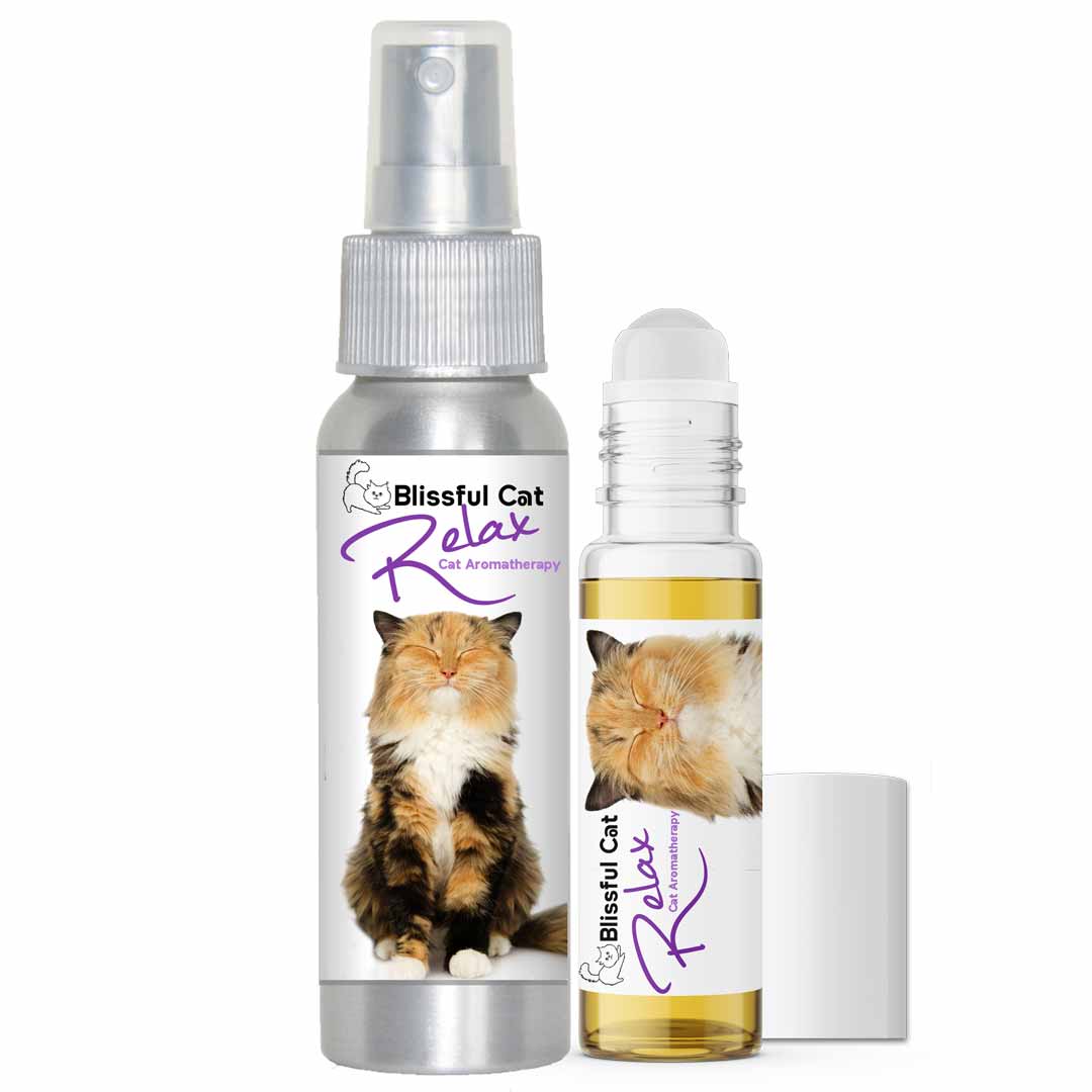 Blissful Paw™ Butter Moisturizes Rough, Dry Paw Pads