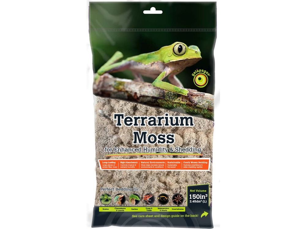 Galapagos Reindeer Moss, 150 in³