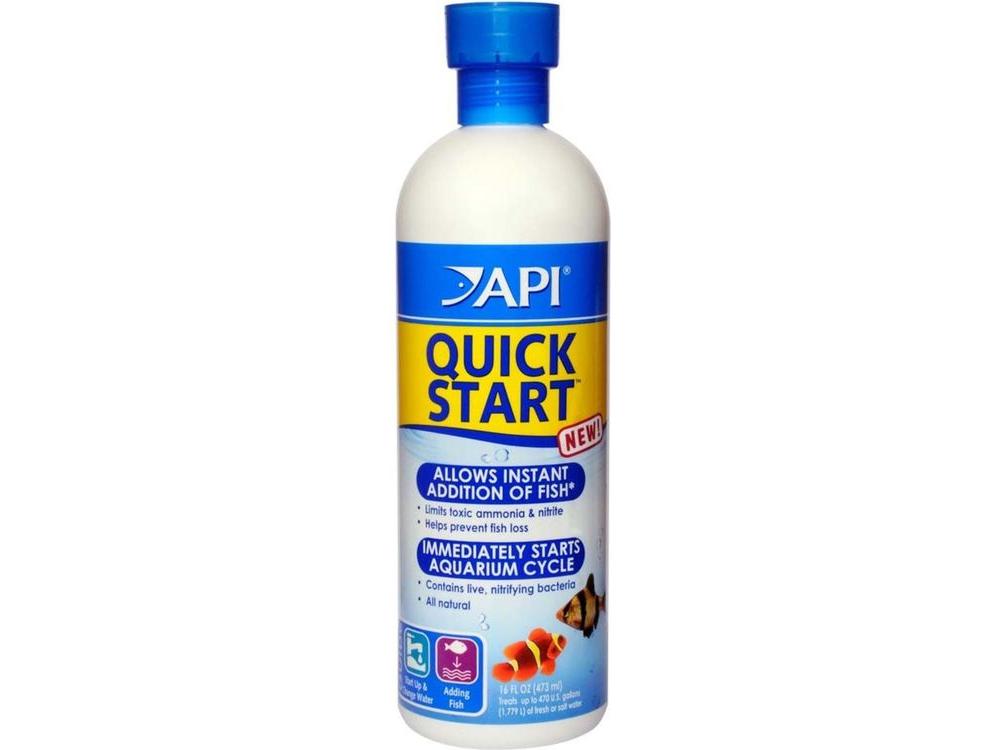 API Quick Start
