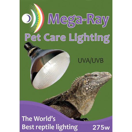 uva uvb reptile light