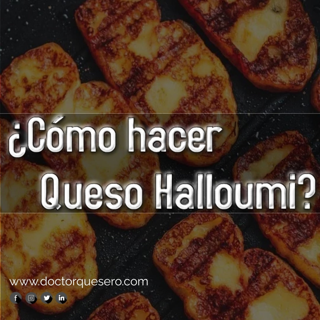 Cómo hacer Queso Halloumi? – Doctor Quesero