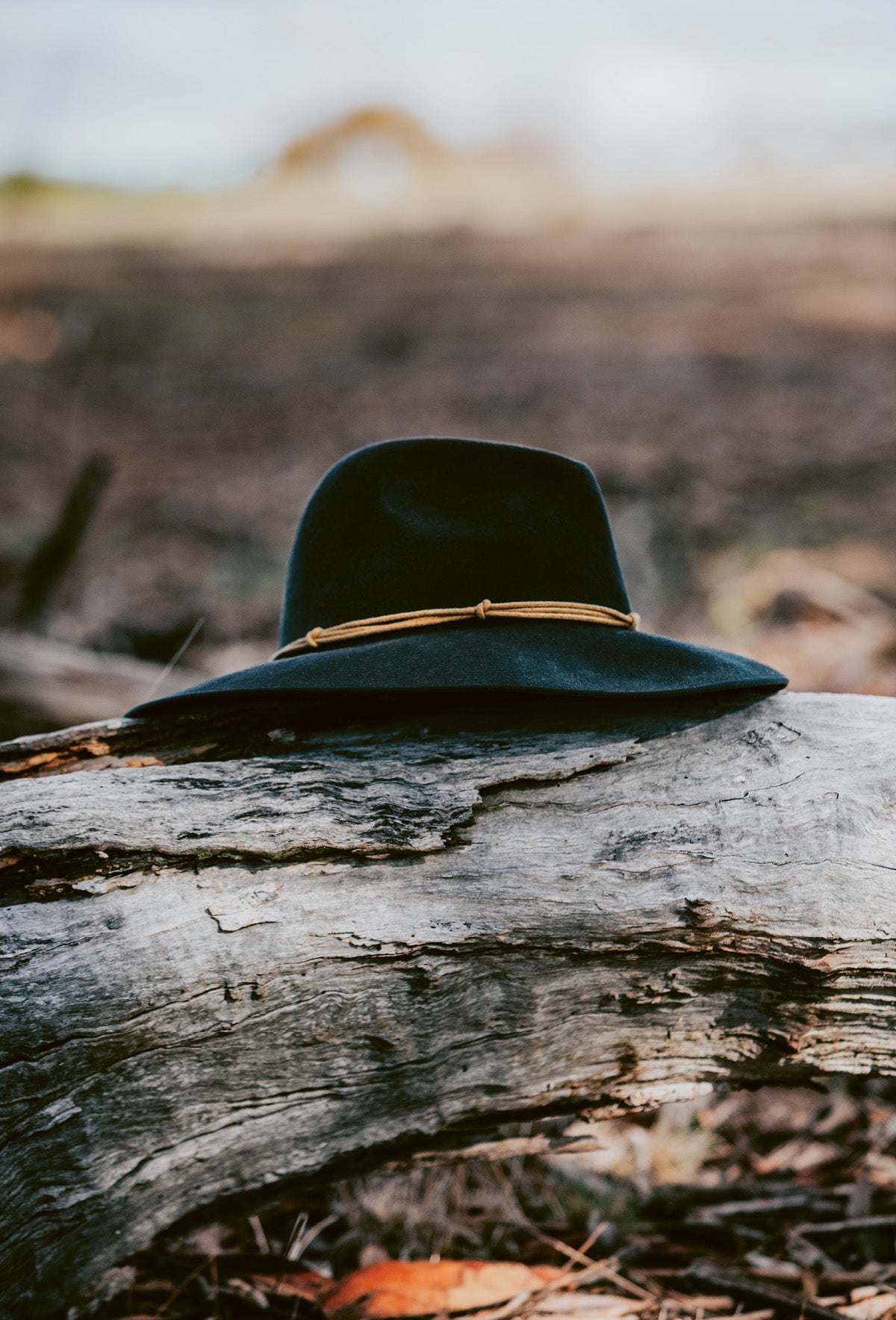 A cowboy hat on a log in the australian bush