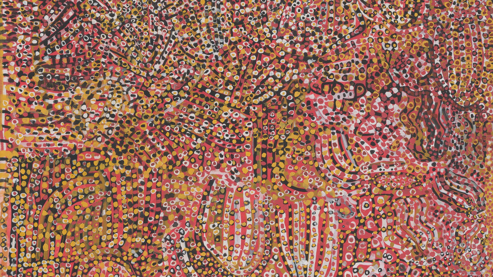 Emily Kame Kngwarreye, Anmatyerre people, Ntange Dreaming, 1989, purchased 1989 © Emily Kame Kngwarreye/Copyright Agency