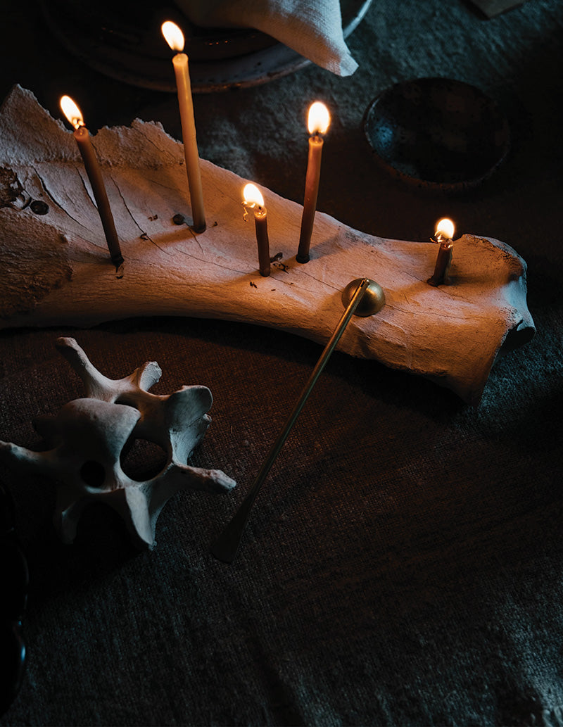 Southern Wild Co x Ferro Forma brass candle snuffer