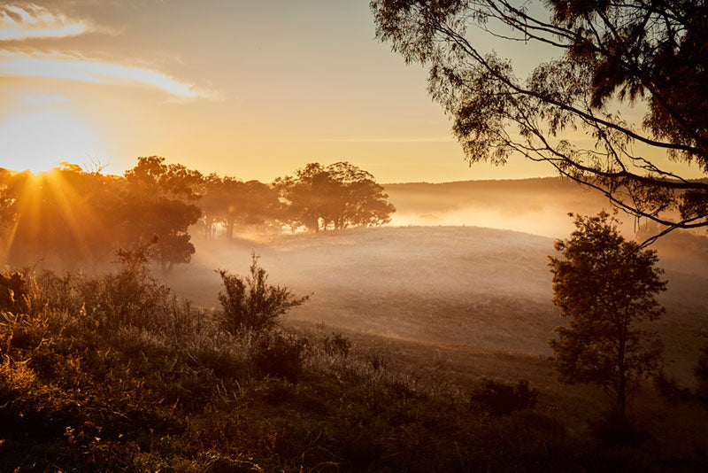 A beautiful sunrise in the Australian landscape at Southern Wild Co