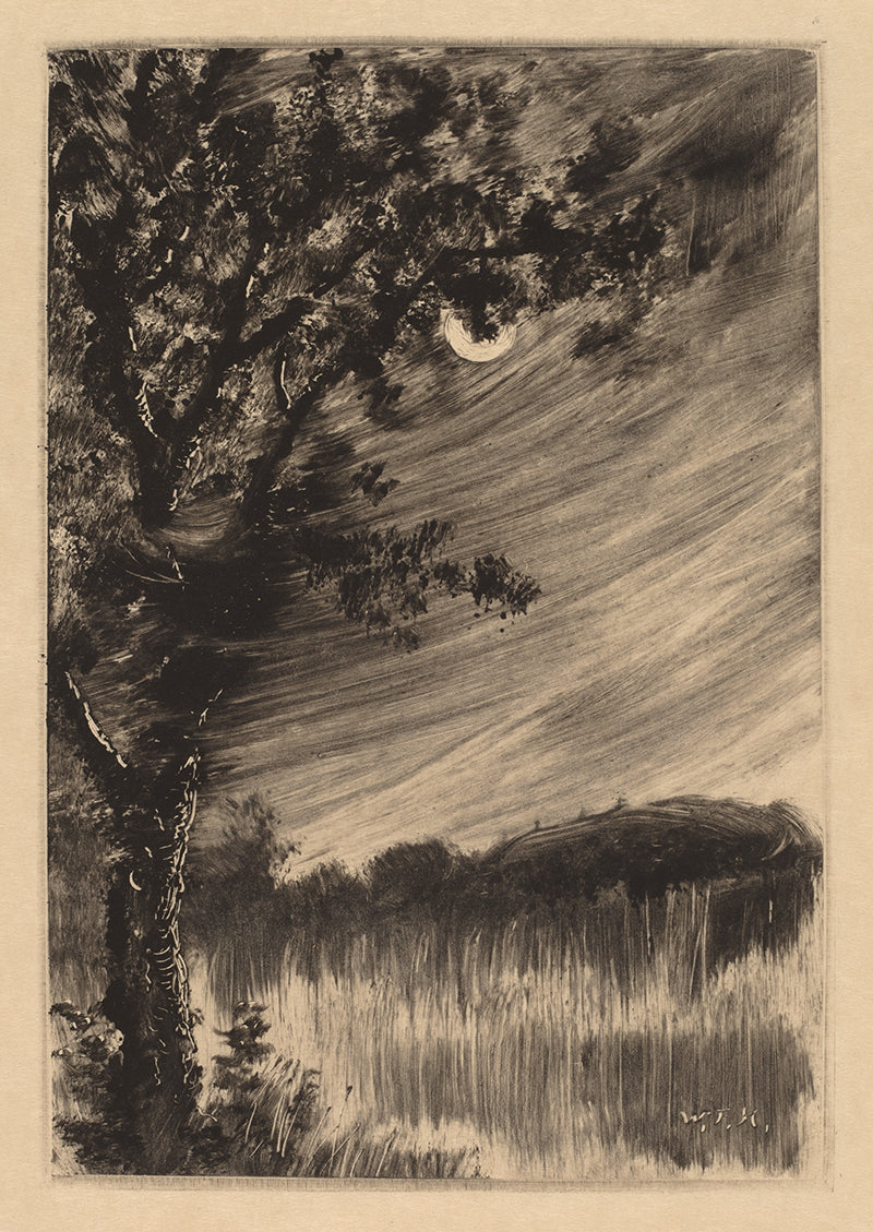 moonlight landscape with trees