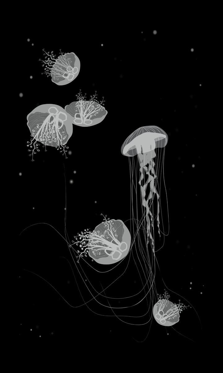 Black and white Jellyfish screenprint Home Decor – Hamelaha Print-shop