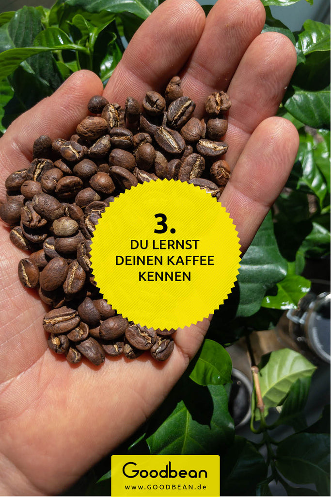 Du lernst deinen Kaffee kennen - Goodbean