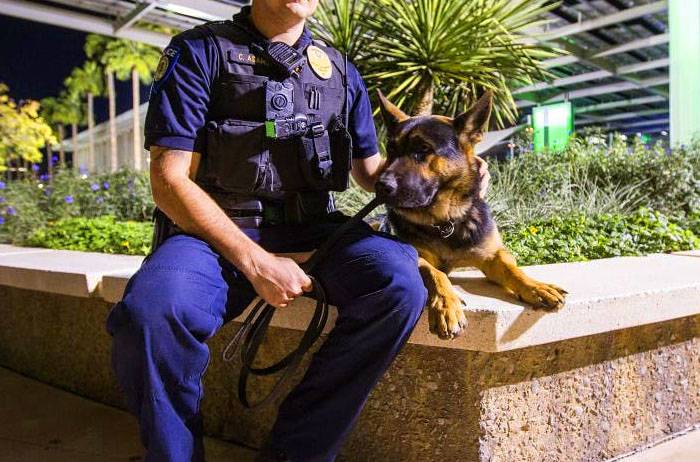 Types of Police Dogs - Patrol Dogs