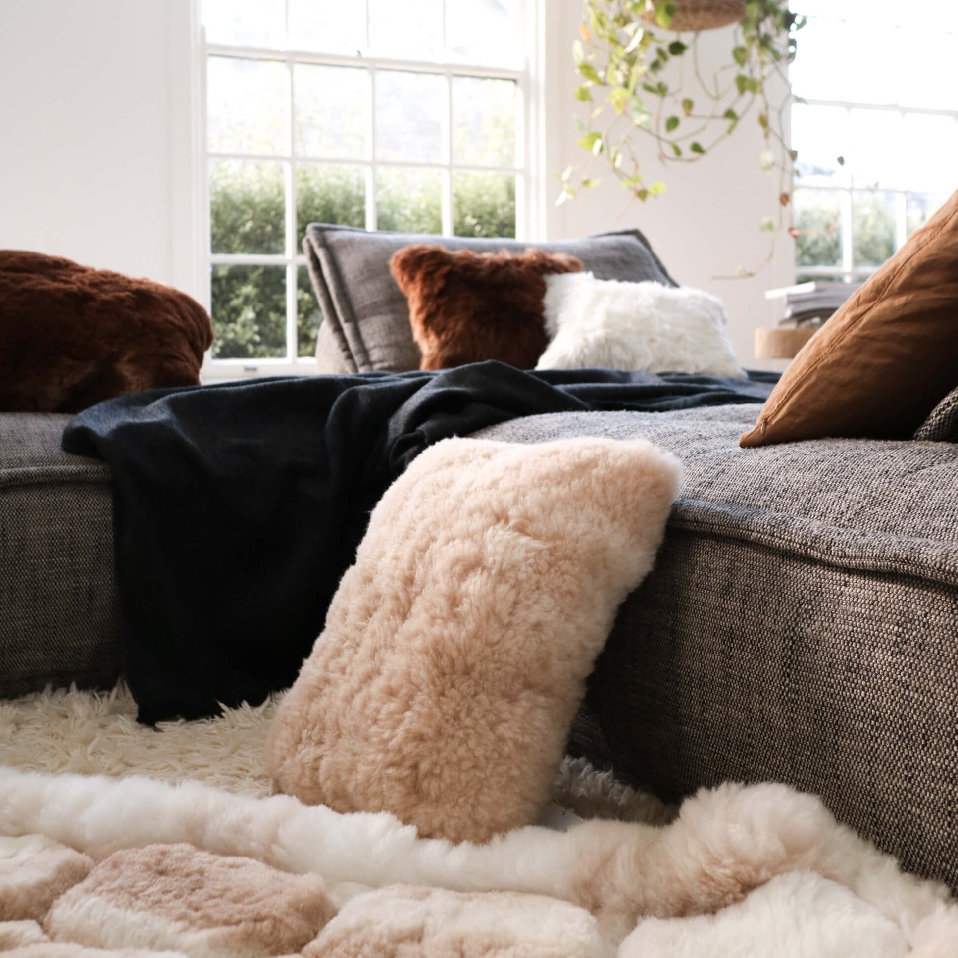 ALPACA FLEECE RUGS – La Sierra