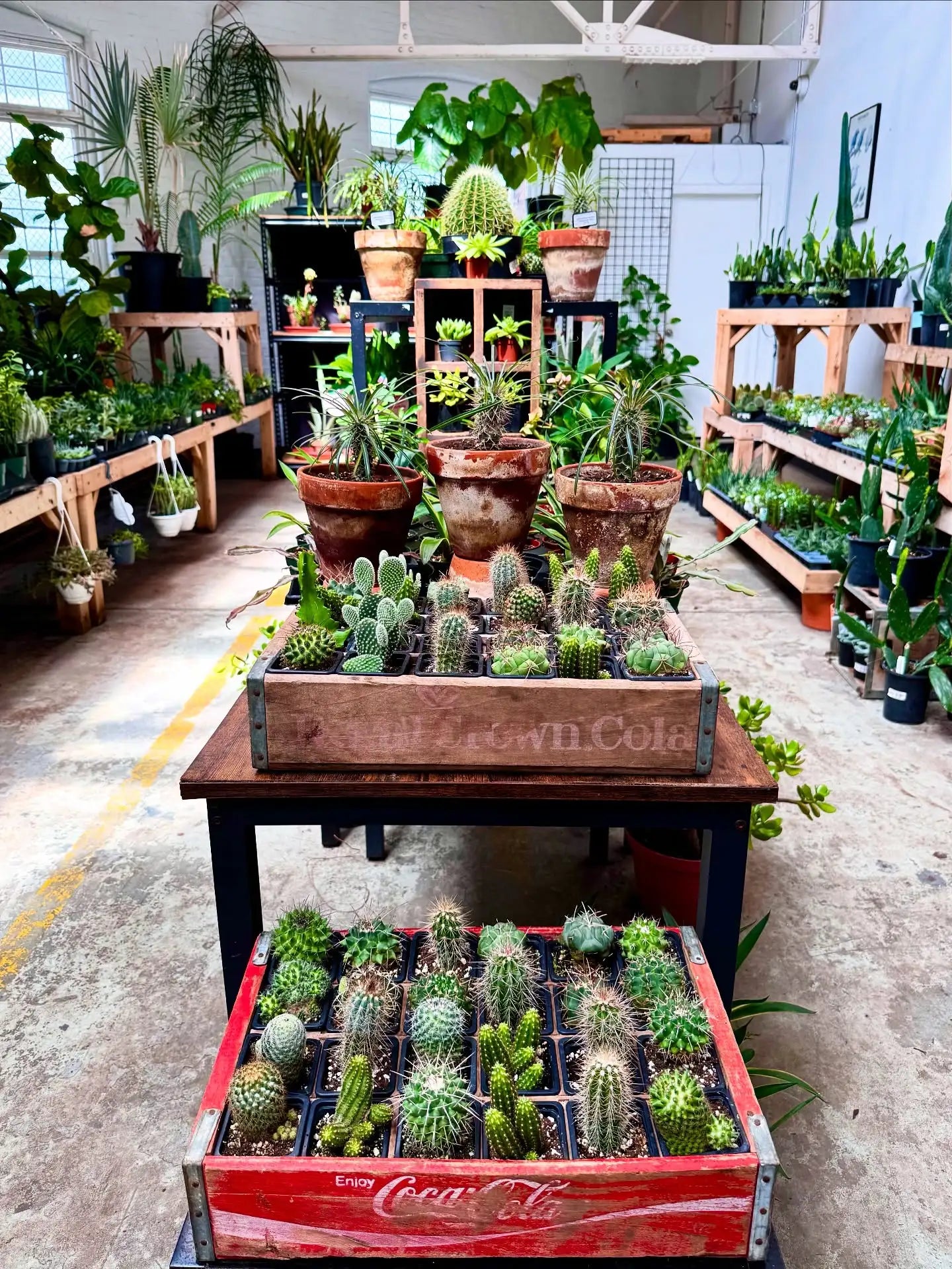 A Community-Driven Plant Shop