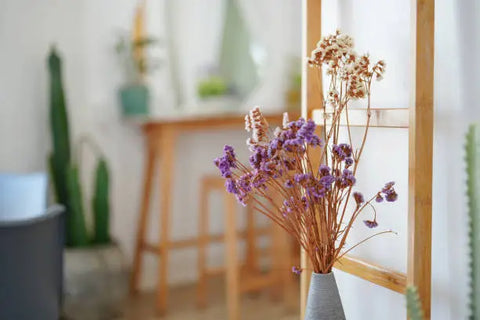 Lavender plant