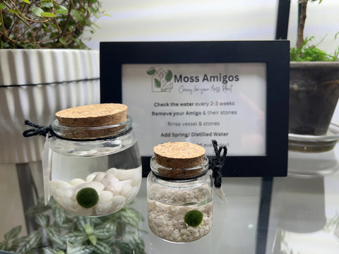 Moss Amigos