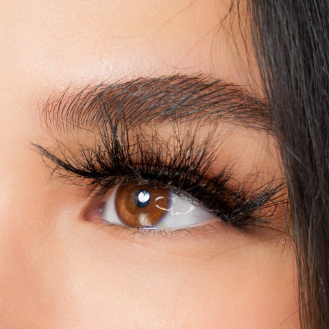 Cat Eye /Flare Lashes vs Doll Lashes Everything To Know