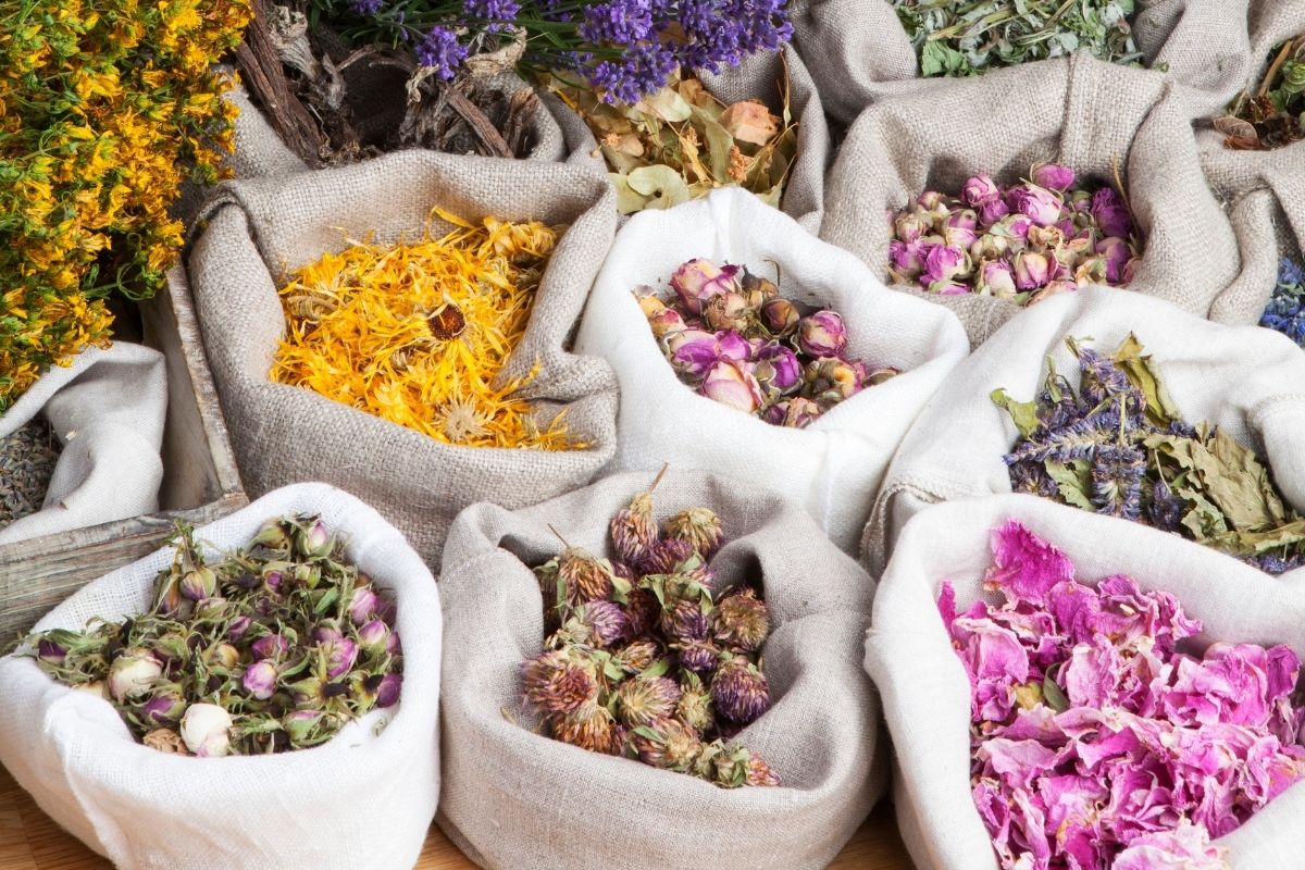 calming herbs for anxiety