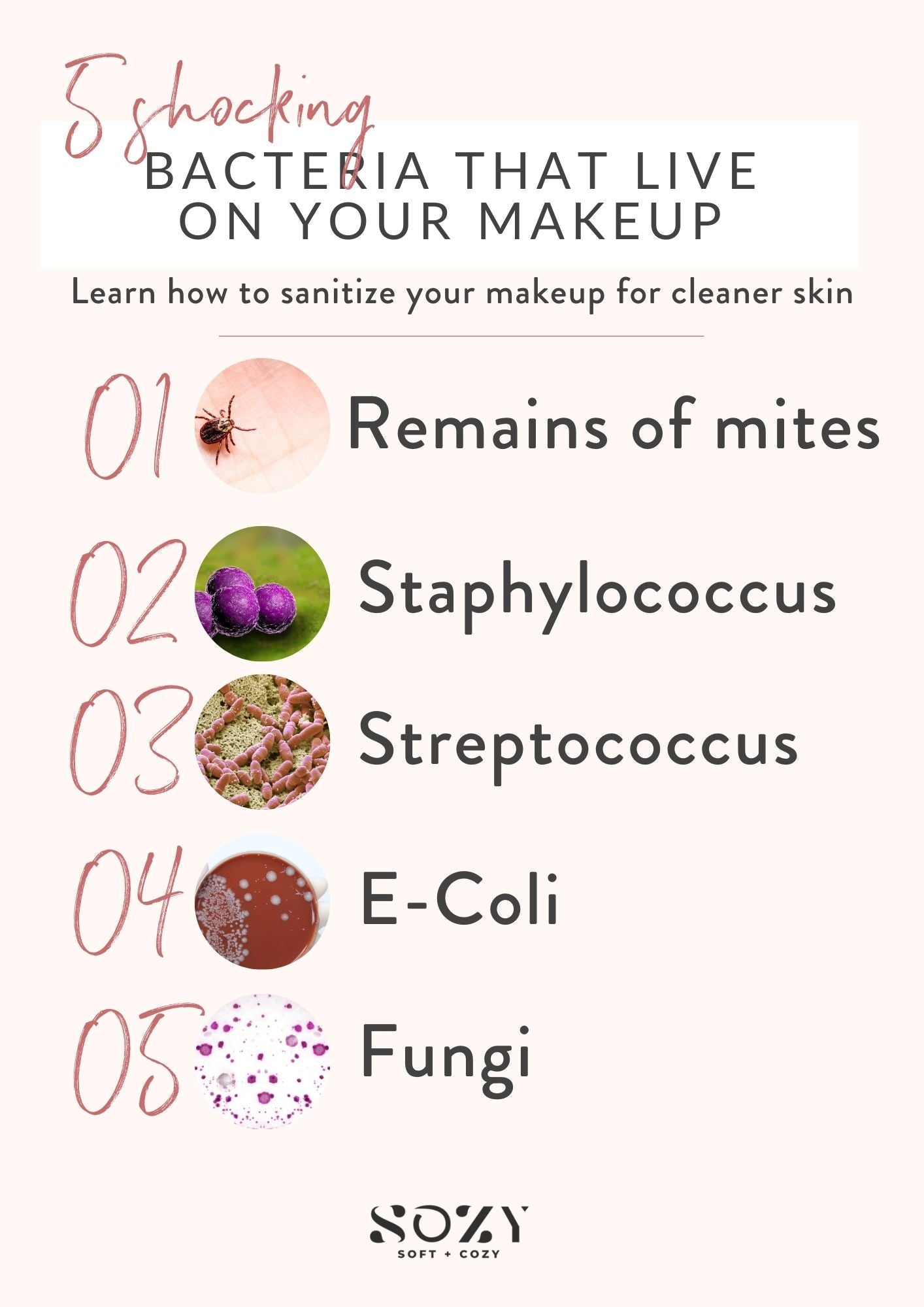 common bacteria found in makeup