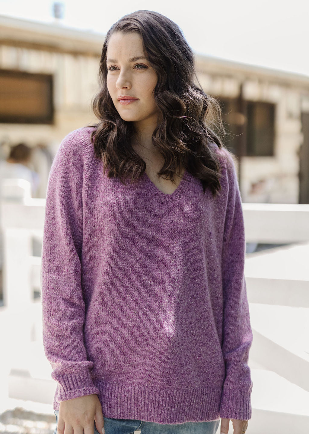 65% Merino 30% Nylon 5% Alpaca Flecked V Neck Jumper Rose Garden