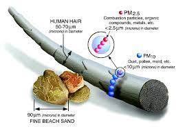 Cannabis detector