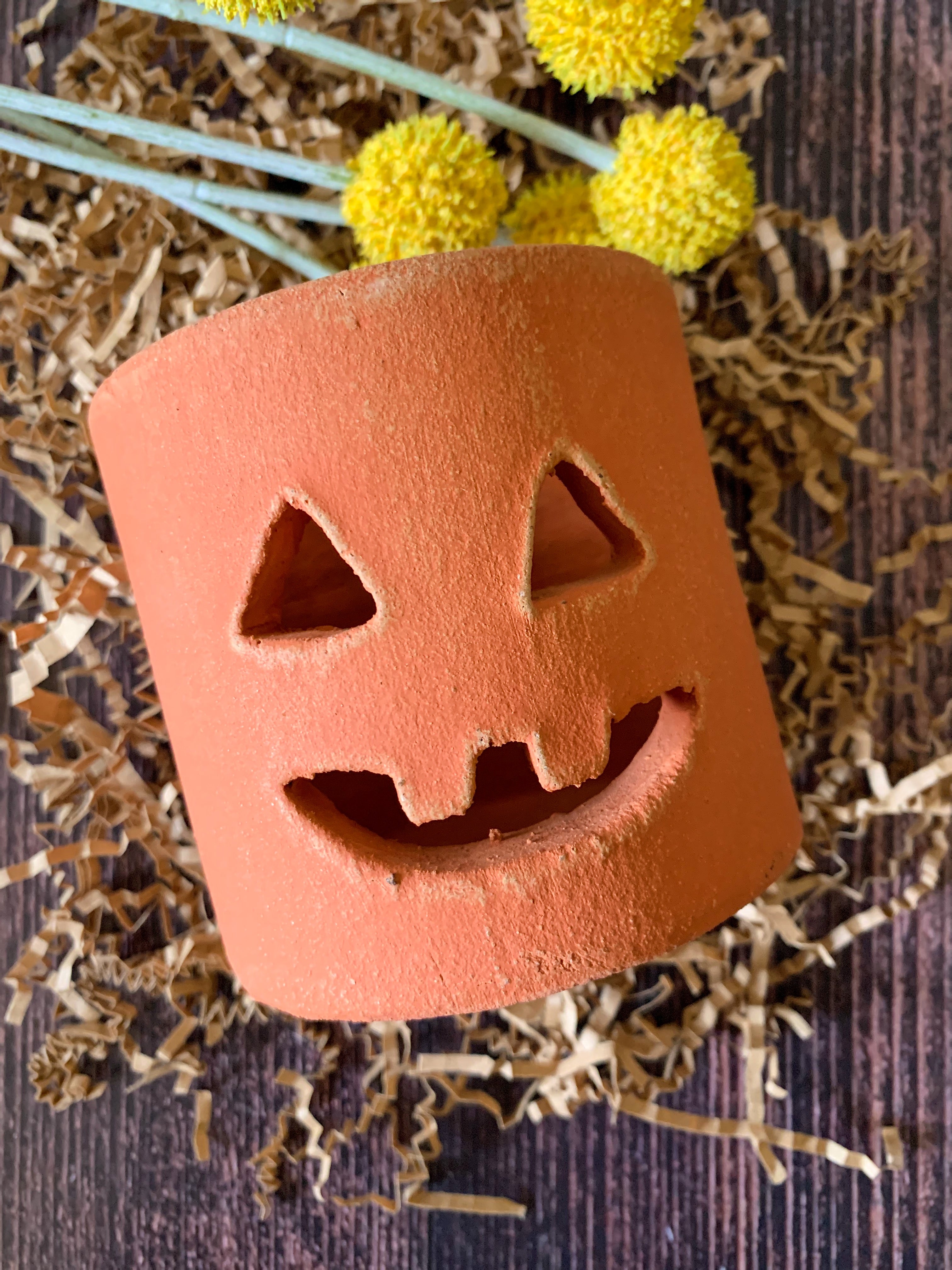 Mini Clay Jack-O-Lantern (PICK UP ONLY)