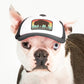 PupLid Classic Designs | Size XS Dog Hat