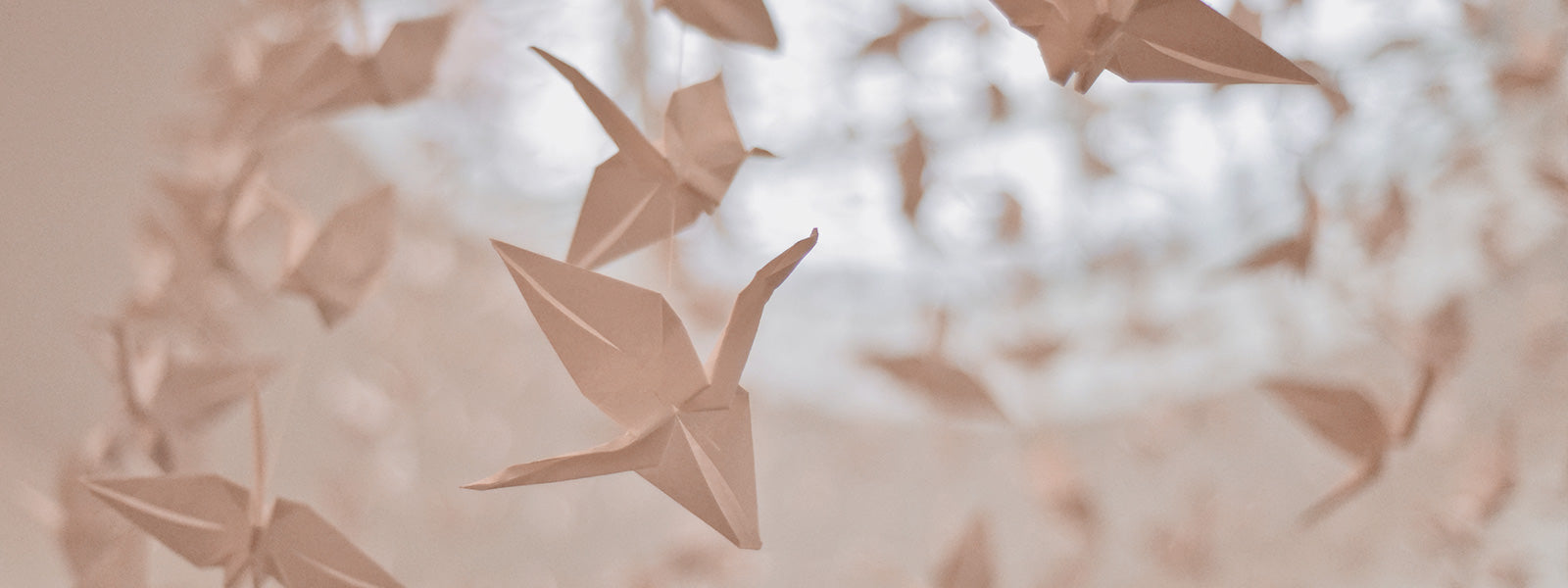Beautiful Equations Blog - The Maths of Origami. A flock of origami cranes hangs from a skylight.